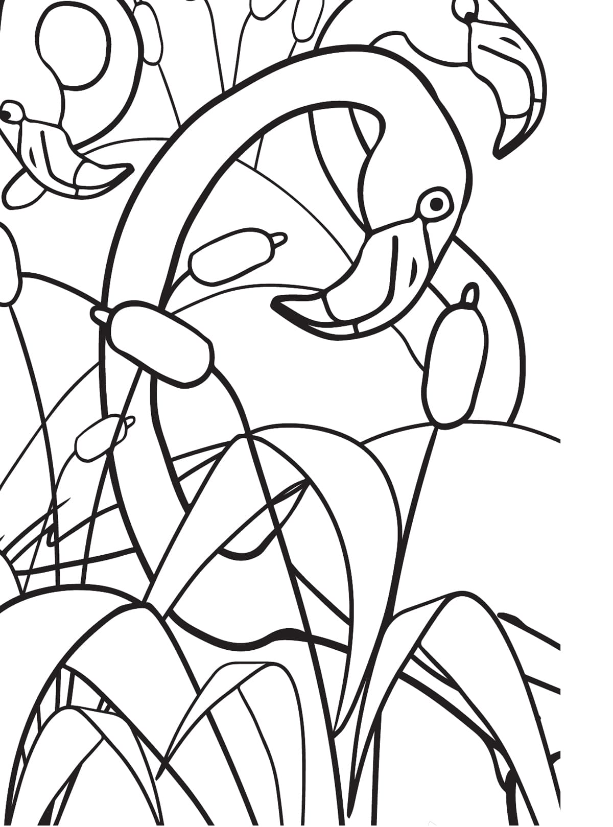 Фламинго в камышах