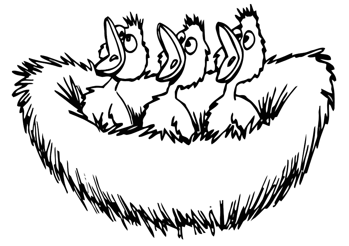 Гнездо и птички