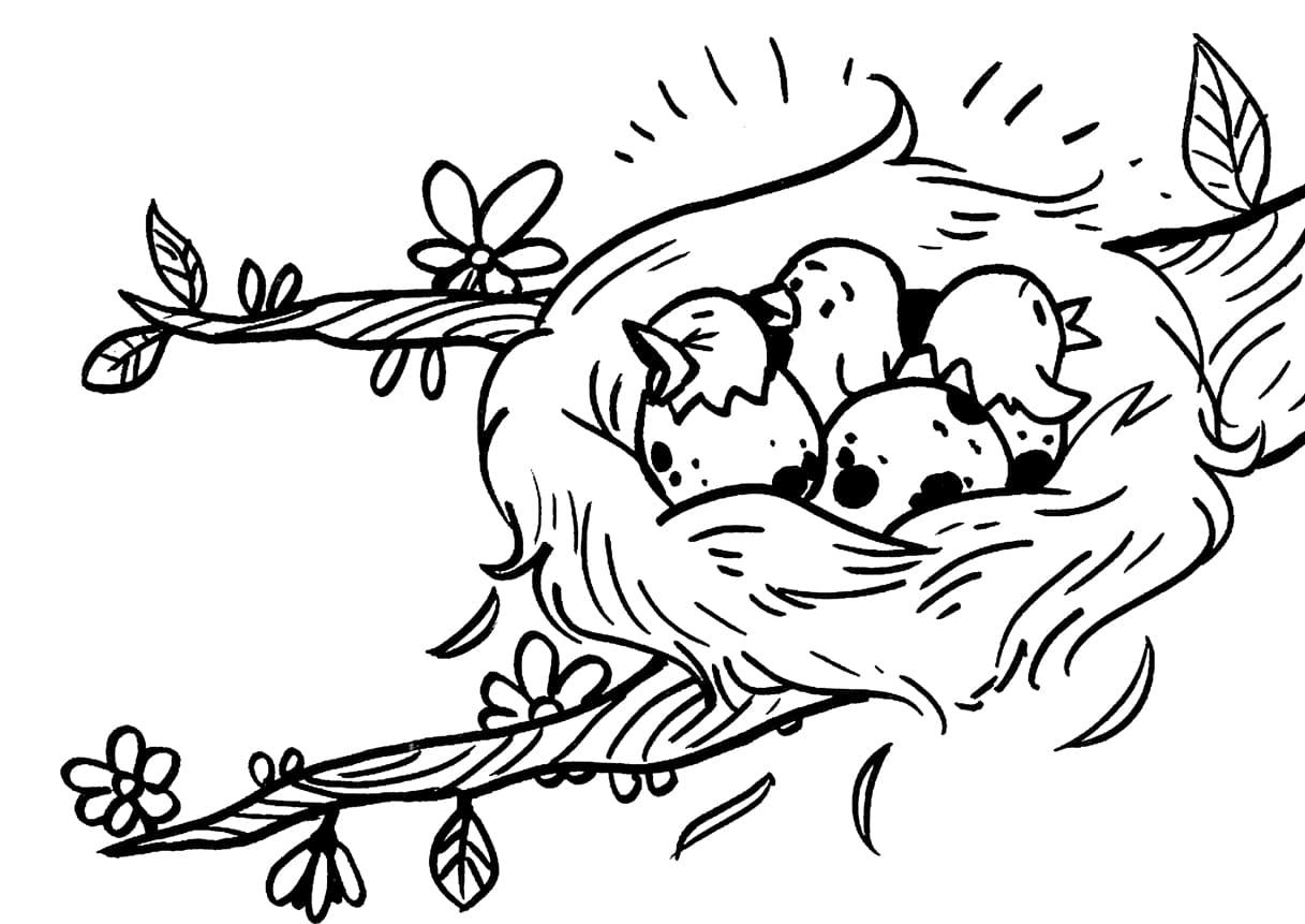 Гнездо с птенцами