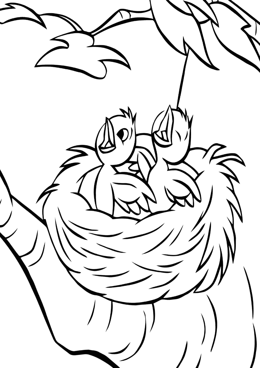 Птички с открытыми ртами