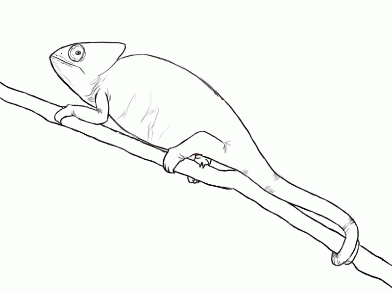 Хамелеон на палке