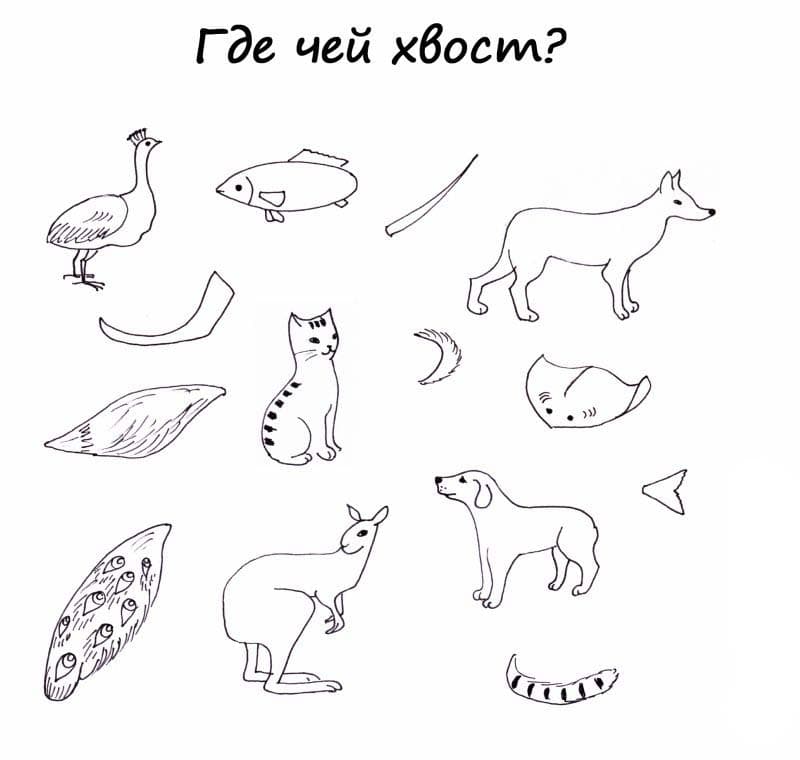 Раскраска хвост
