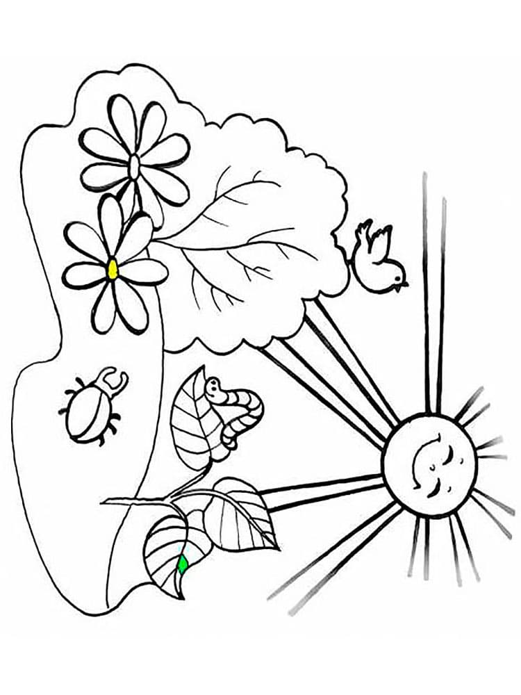 Июнь раскраска