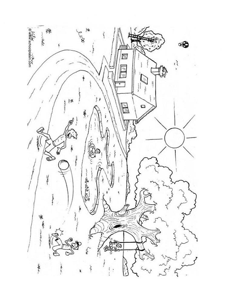 Природа в июне