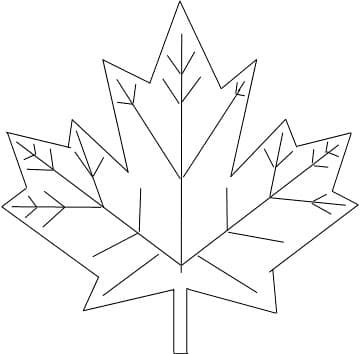 Красивый лист клена