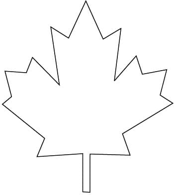 Шаблон листа клена