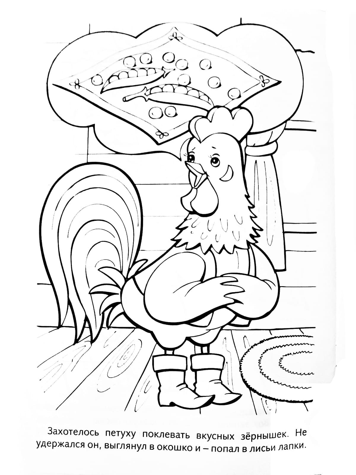 Раскраска петух