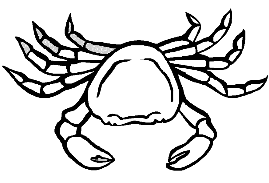 Большой краб