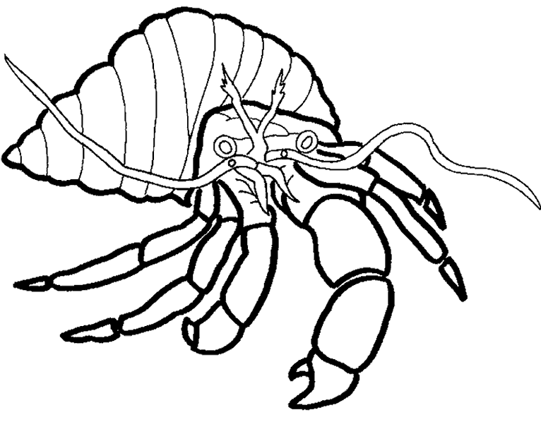 Краб в ракушке