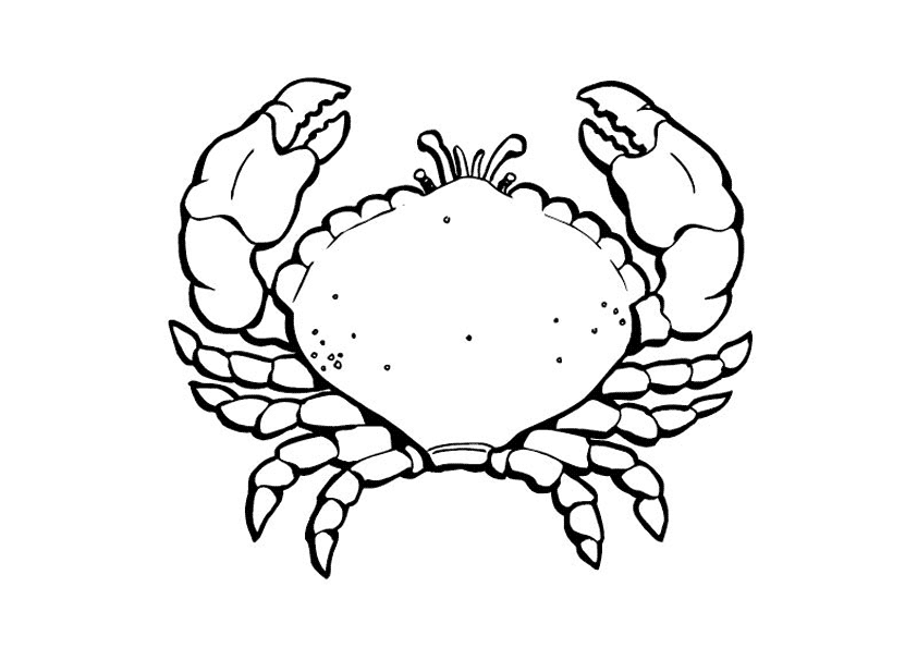 Раскраска детская краб