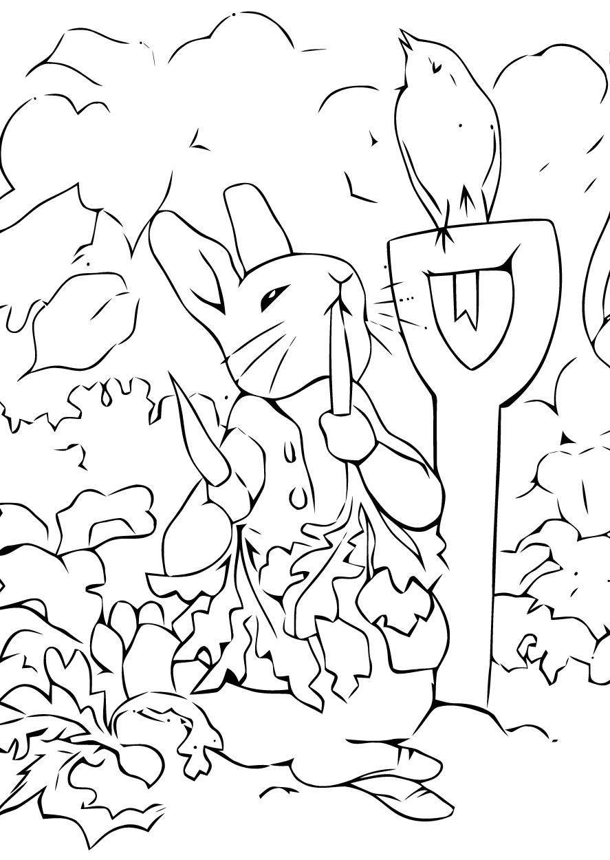 Кролик Питер