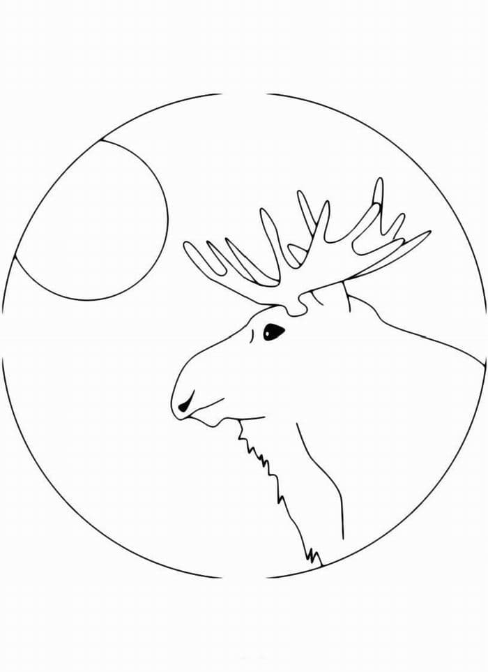 Круг и лось
