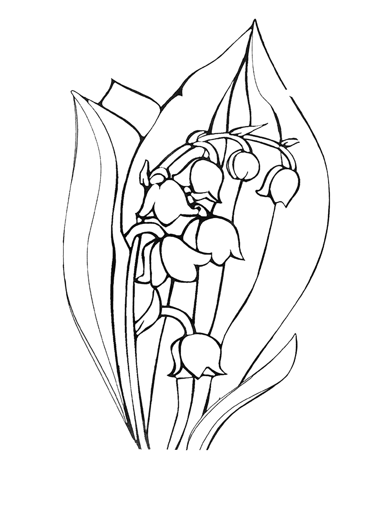 Цветок ландыш