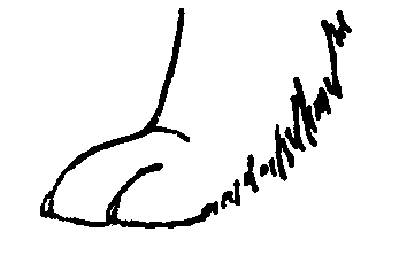 Раскраска лапа