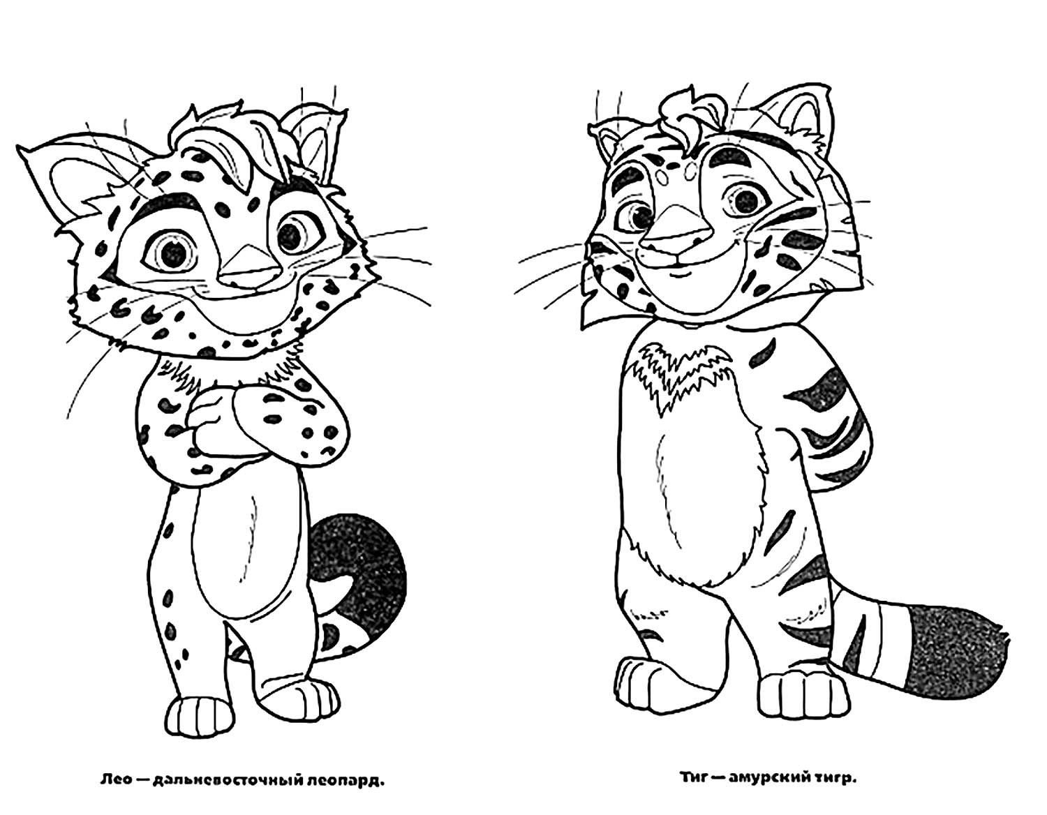 Лео и Тиг вики