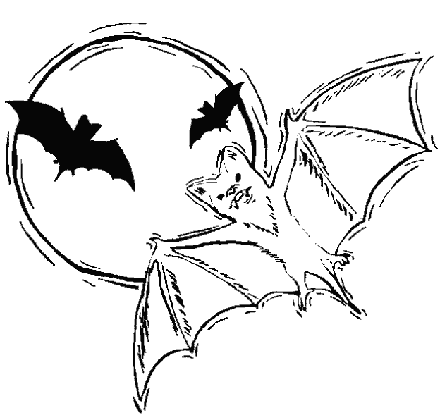 Летучая мышь и луна раскраска