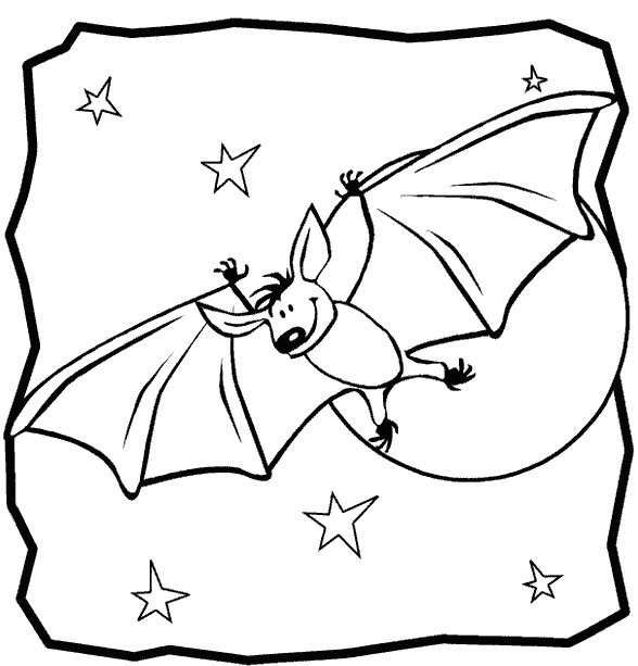 Летучая мышь и звезды