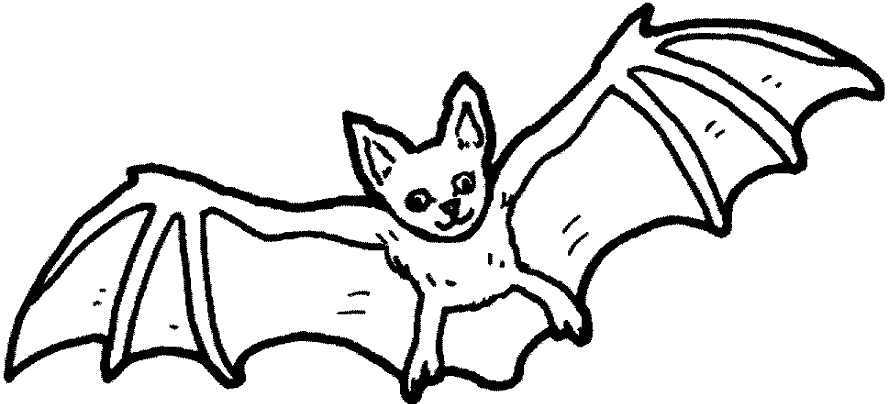 Летучая мышь летит