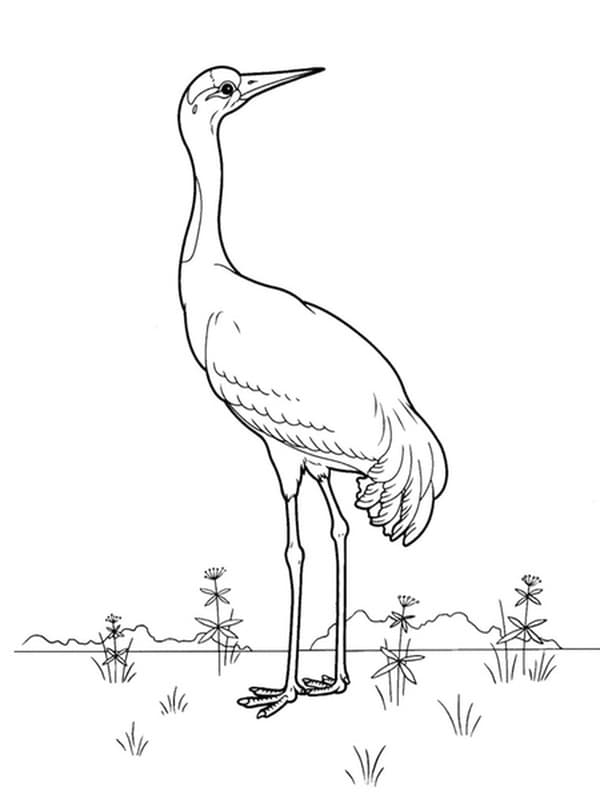 Картинка журавль