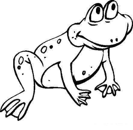 Лягушка сидит