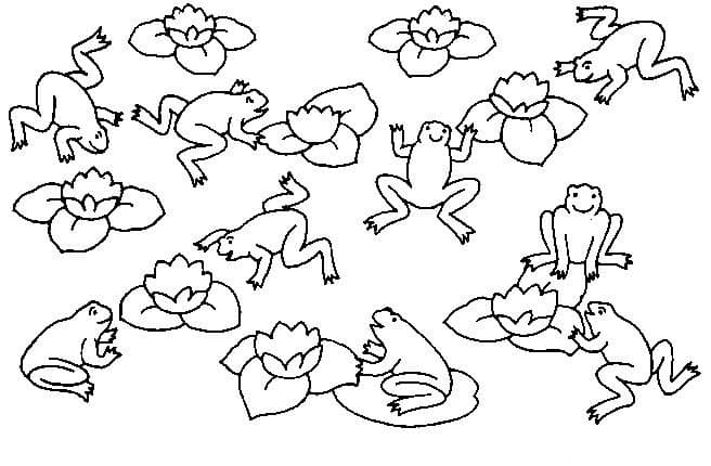 Лягушки и лилии