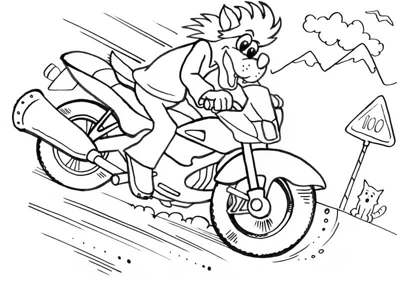 Волк на мотоцикле