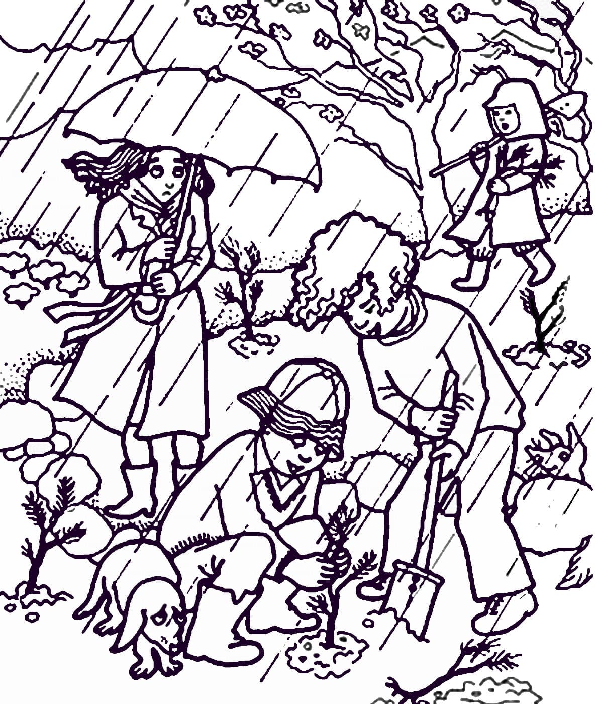 Сильный дождь