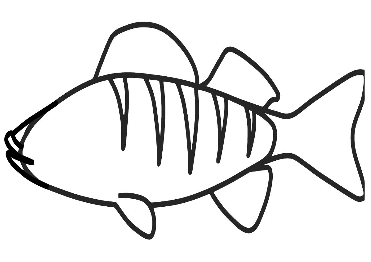 Красивый окунь раскраска