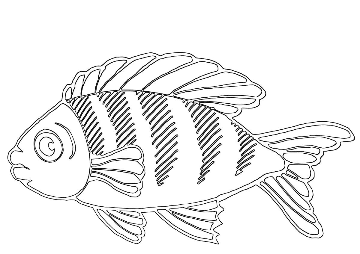 Окунь с полосками