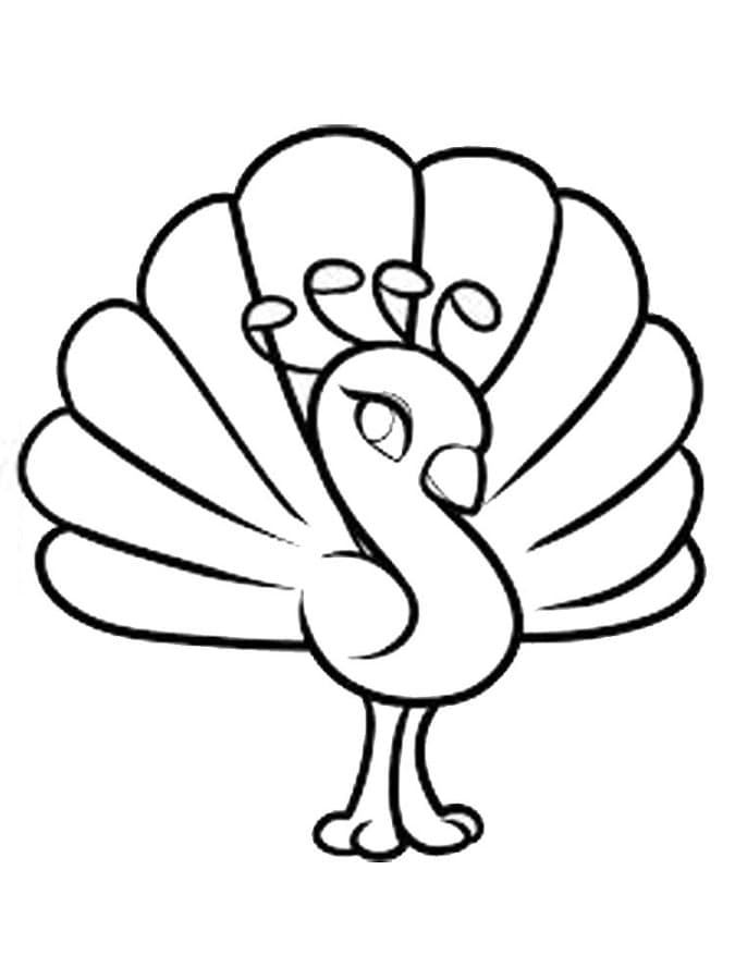 Маленький павлин