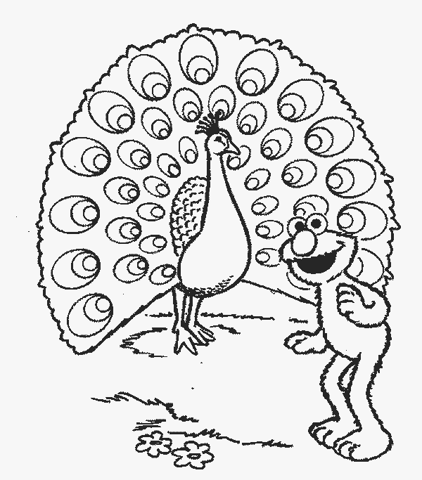 Павлин и лягушка