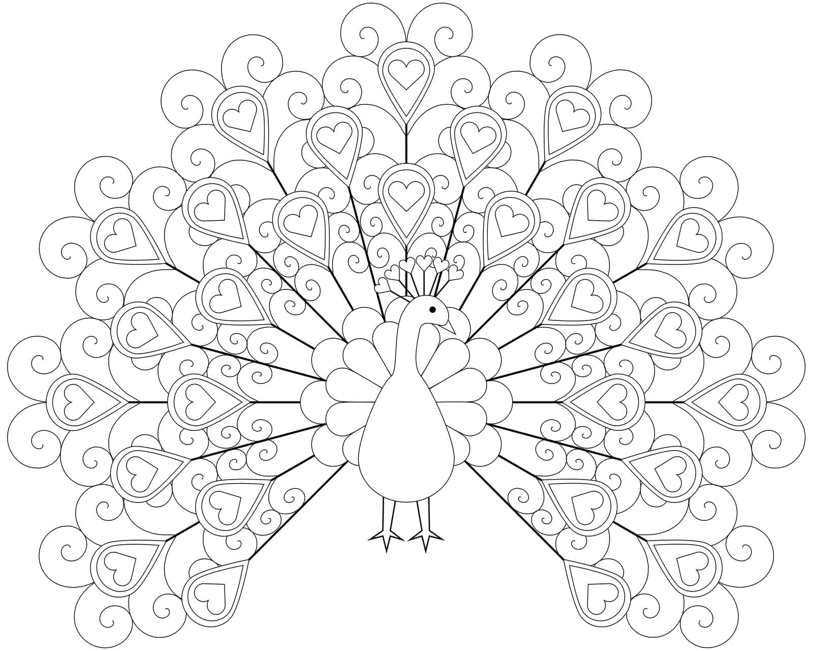 Раскраска для детей павлин