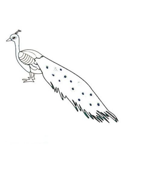 Жар птица раскраска