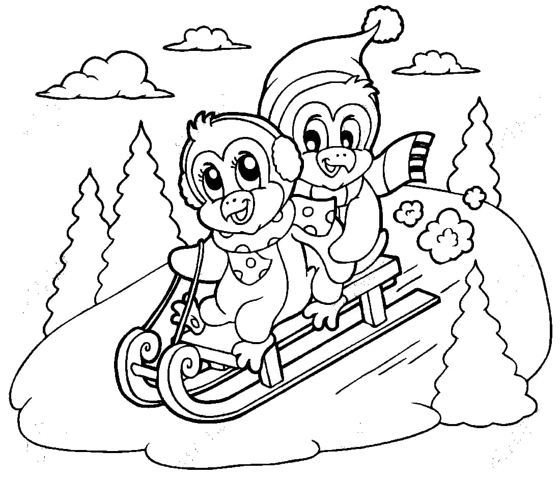 Пингвины на санках