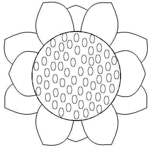 Красивый подсолнух раскраска