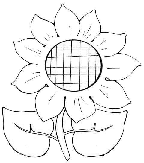 Подсолнух с листьями