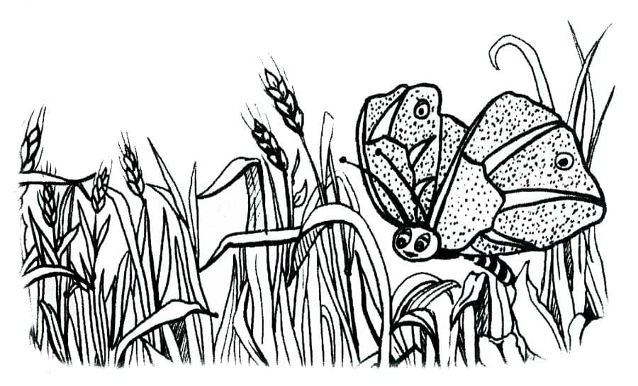 Бабочка и пшеница