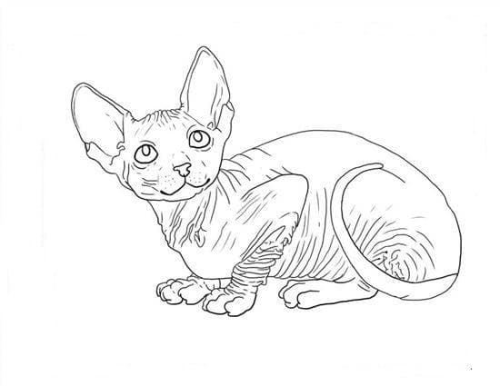 Детская раскраска сфинкс