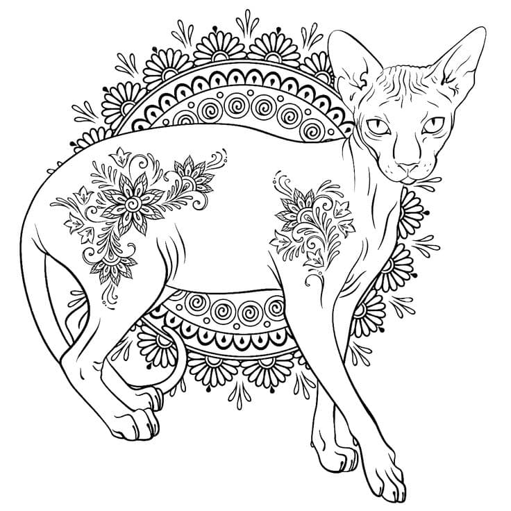 Раскраска сфинкс кот с узорами