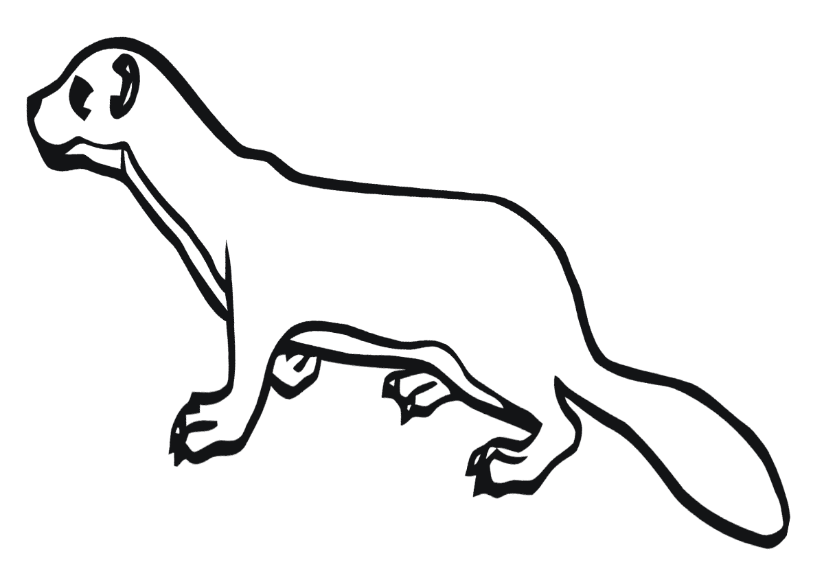 Шаблон зверька соболь