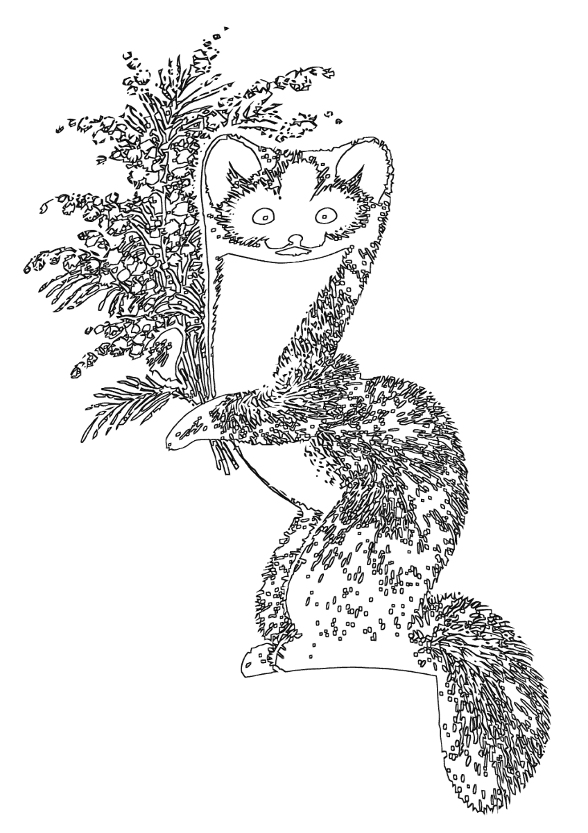 Соболь антистресс