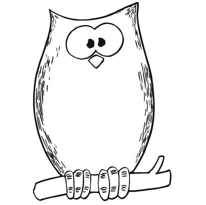 Сова толстая