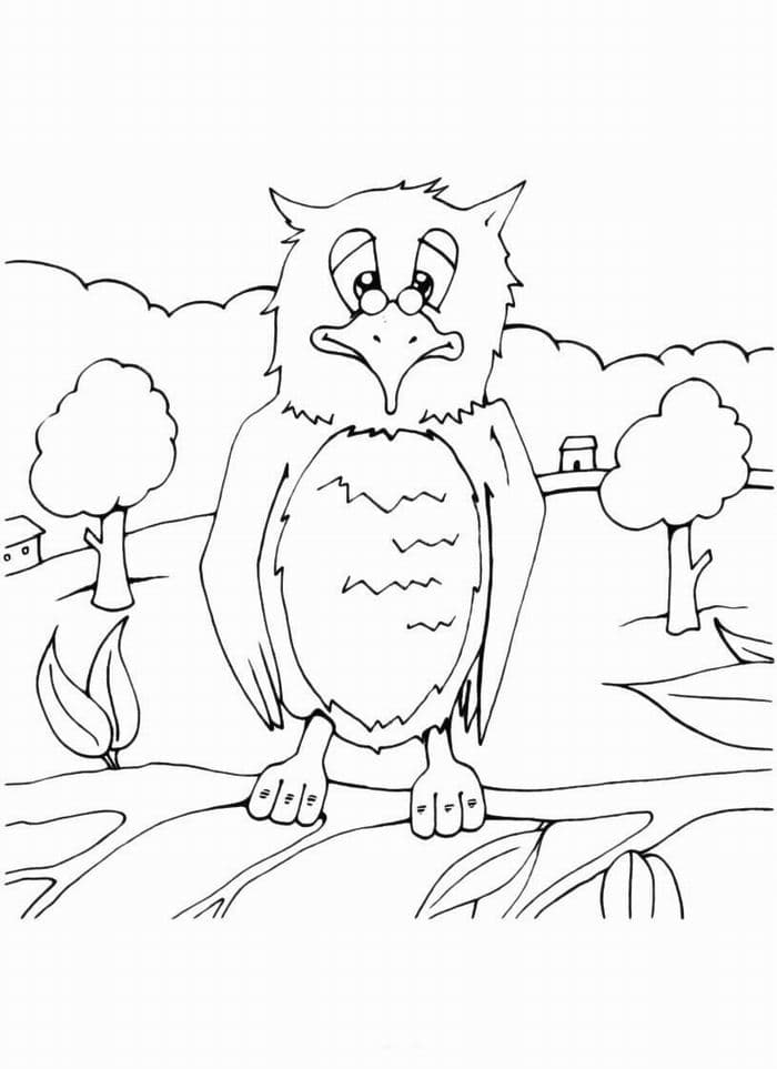 Ученая сова