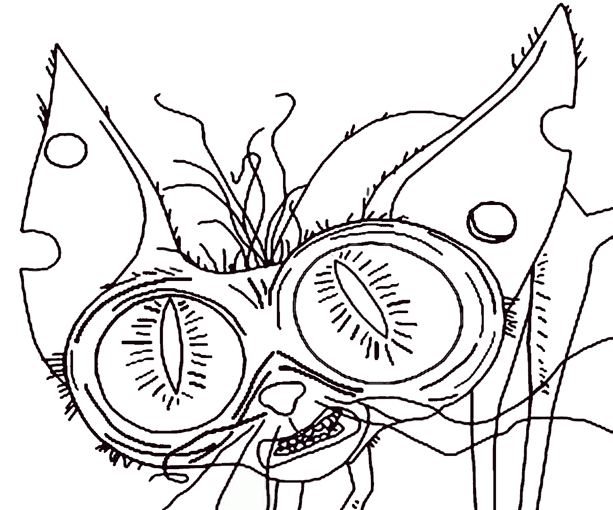 Кот из мультика Тайная жизнь домашних животных