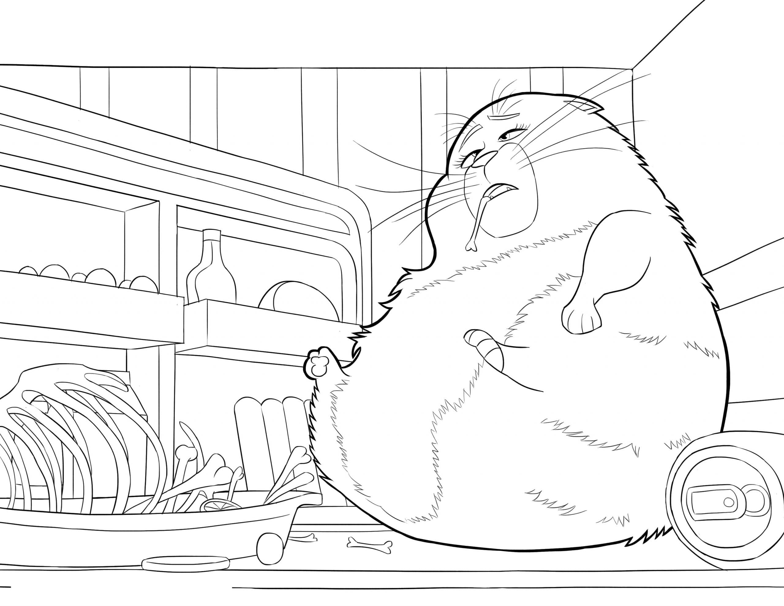 Раскраска Хлоя_9133