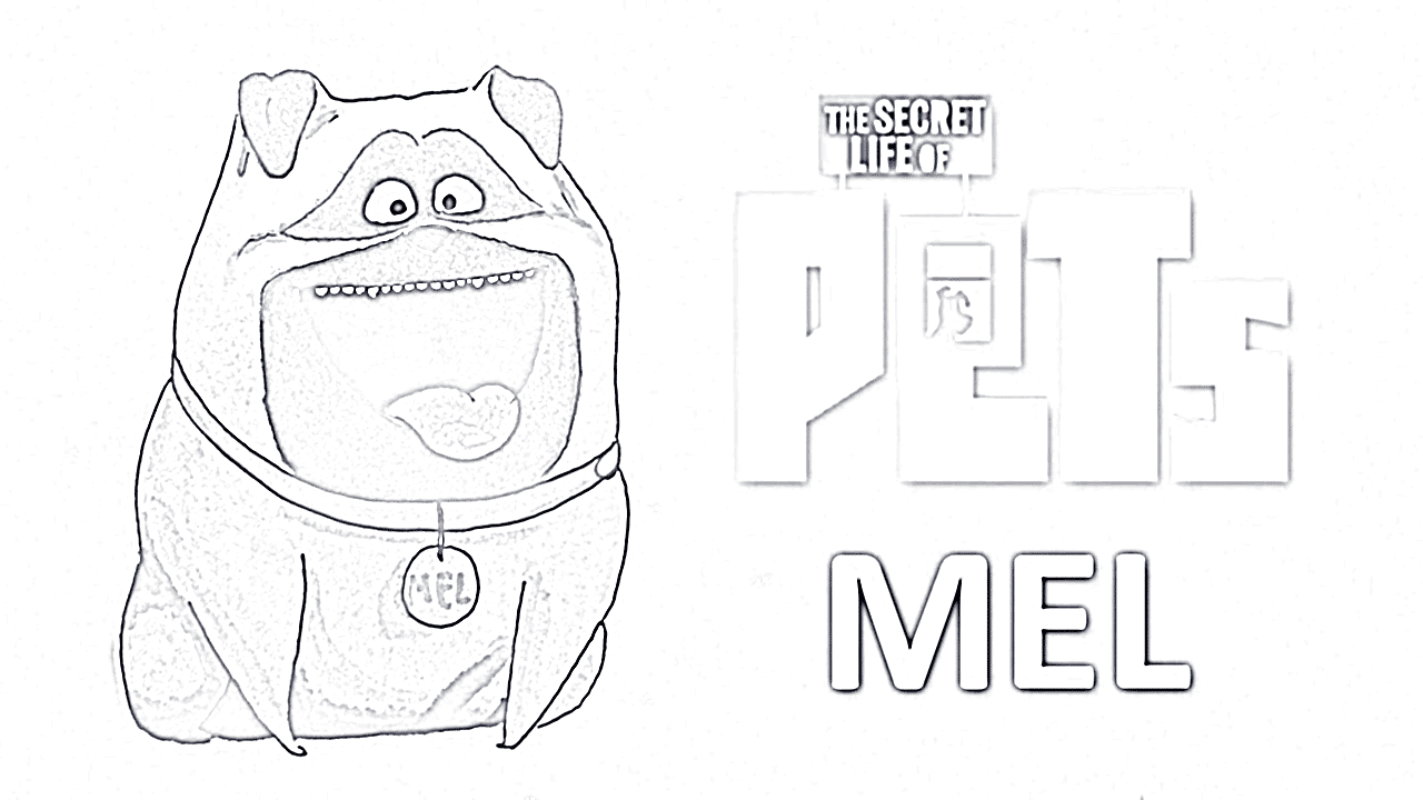 Раскраска тайная жизнь домашних животных