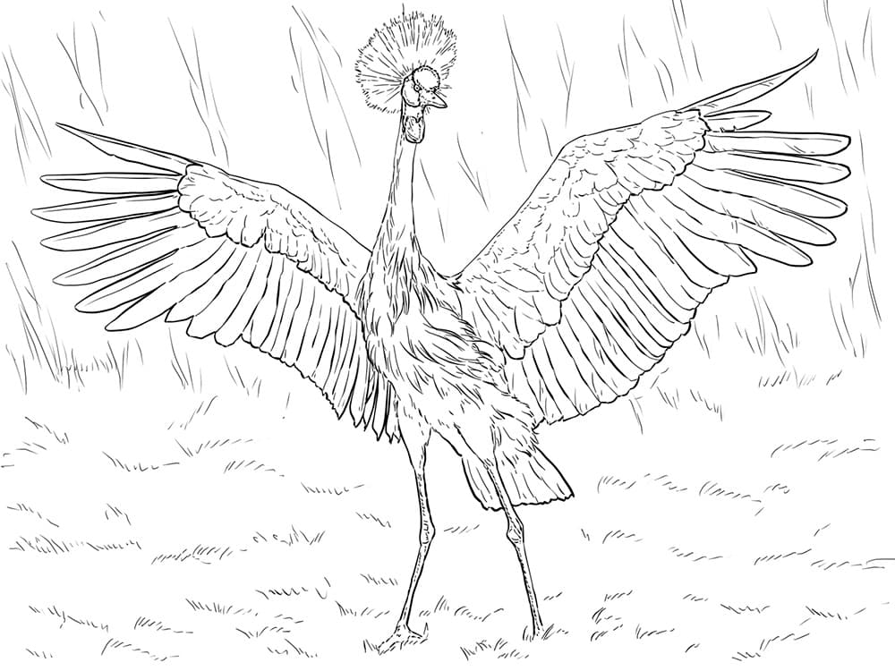 Детская раскраска журавль