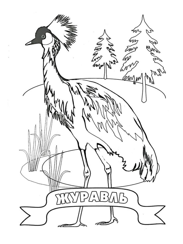 Красивый журавль