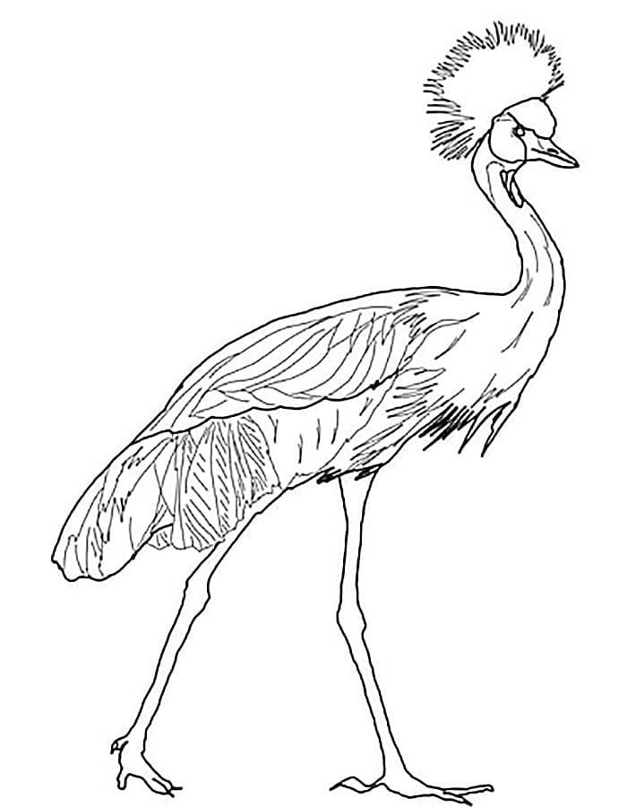 Птица журавль