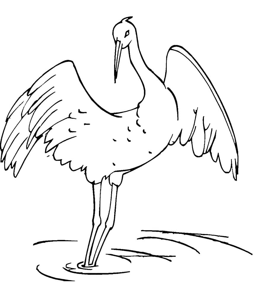 Журавль в воде